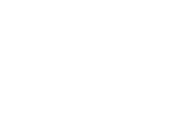 Elektronn Logo